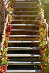 Image showing Wooden Staircase