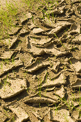 Image showing Drought soil