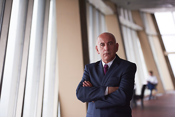 Image showing senior business man portrait