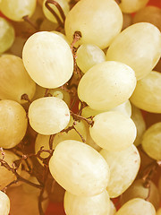 Image showing Retro looking Grape picture