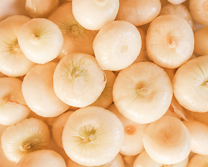 Image showing Retro looking Onions