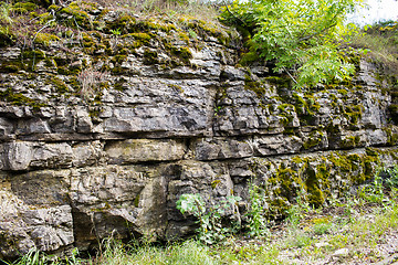 Image showing close up of flagstone rock with moss and greens