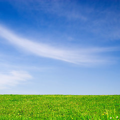 Image showing Green Field