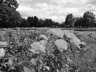 Image showing Gardens in Stuttgart Germany