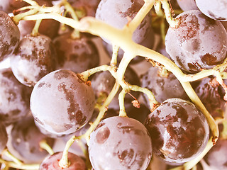 Image showing Retro looking Grape