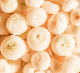 Image showing Retro looking Onions
