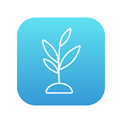 Image showing Sprout line icon.