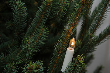 Image showing Electric candle in a christmas tree