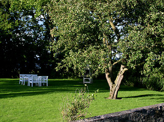 Image showing Under the apple tree