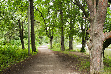 Image showing summer forest and path