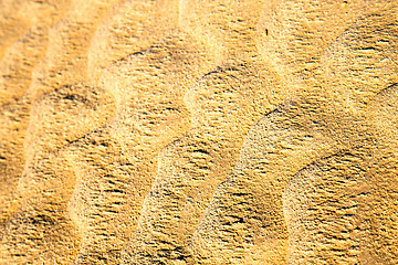 Image showing brown dry sand  sahara desert  