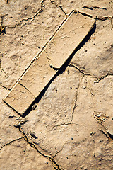 Image showing brown dry sand in sahara wood abstract