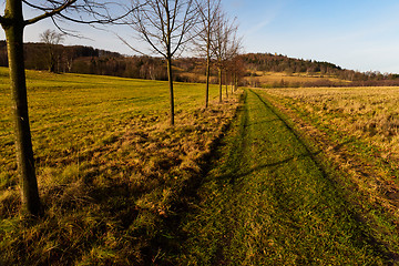 Image showing Autumn landscape