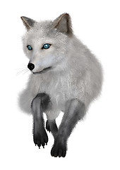 Image showing Arctic Fox on White