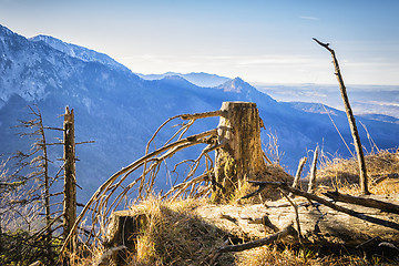 Image showing Landscape Bavaria Alps