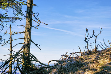 Image showing Landscape Bavaria Alps