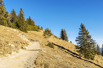 Image showing Path in Bavaria Alps