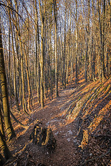 Image showing Landscape Bavaria Alps