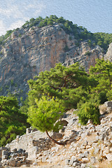 Image showing  ruins stone and theatre in  antalya  arykanda turkey asia sky a