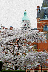 Image showing tree  window in europe london  red brick wall     and      histo