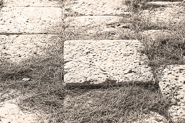 Image showing pine needles    ruins stone and theatre in  antalya  arykanda tu