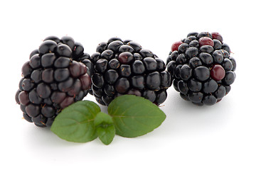 Image showing Blackberries with leaves