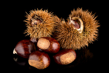 Image showing Chestnuts on a black reflective background