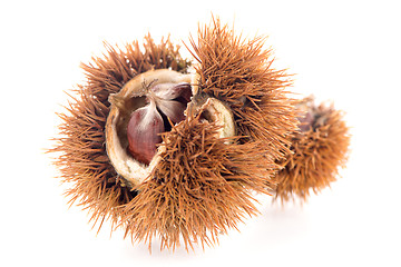 Image showing Chestnuts with shell 