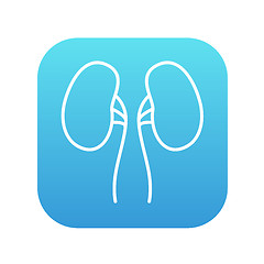 Image showing Kidney line icon.