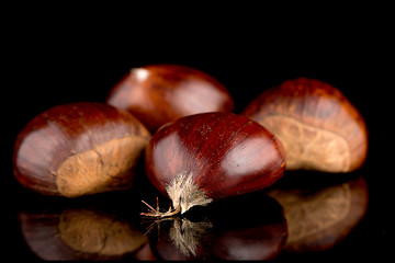 Image showing Chestnuts on a black reflective background