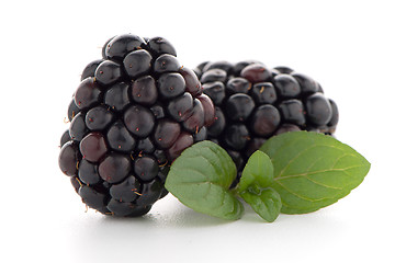 Image showing Blackberries with leaves