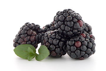 Image showing Blackberries with leaves