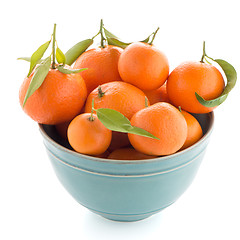 Image showing Tangerines on ceramic blue bowl 