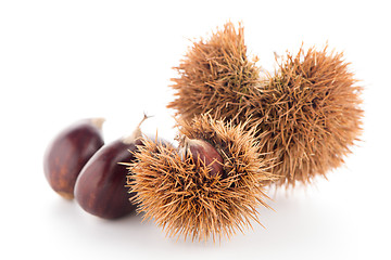 Image showing Chestnuts with shell 