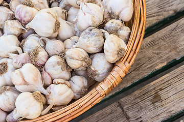 Image showing Garlic in rustic basket.