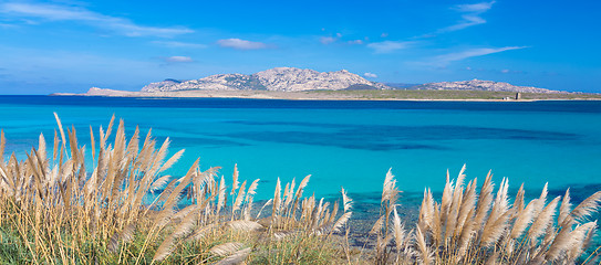 Image showing Pelosa beach, Sardinia, Italy.