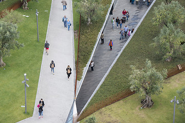 Image showing EUROPE PORTUGAL PORTO RIBEIRA OLIVE TREE