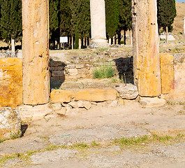 Image showing history pamukkale    old construction in asia turkey the column 