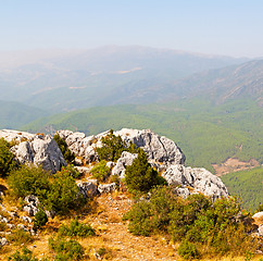 Image showing  mountain bush  anatolia heritage ruins   from the hill in asia 
