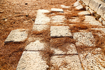 Image showing pine needles    ruins stone and 