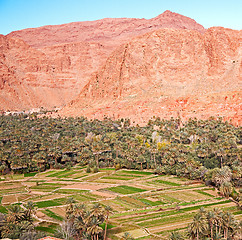 Image showing  in todra gorge morocco africa and  village