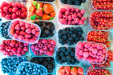 Image showing Berries in boxes.