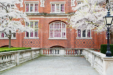 Image showing tree  window in europe london  red brick wall     and      histo