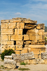 Image showing and  roman   pamukkale    in asia turkey the column  