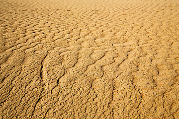 Image showing africa the brown   dune in   sahara t line