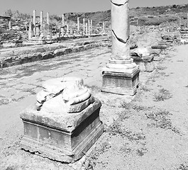 Image showing perge old construction in asia turkey the column  and the roman 