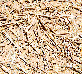 Image showing cracked sand in morocco africa  macro hay