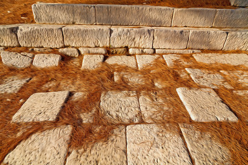 Image showing pine needles    ruins stone and theatre in  antalya  arykanda tu