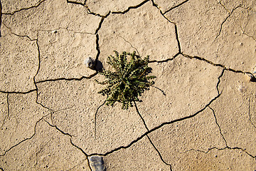 Image showing brown dry sand in  bush stone rockerosion and 