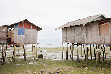 Image showing Fisherman's cottages in The Philippines